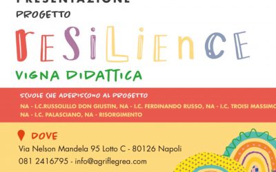 Resilience: la vigna didattica apre ai bambini il 23 settembre.